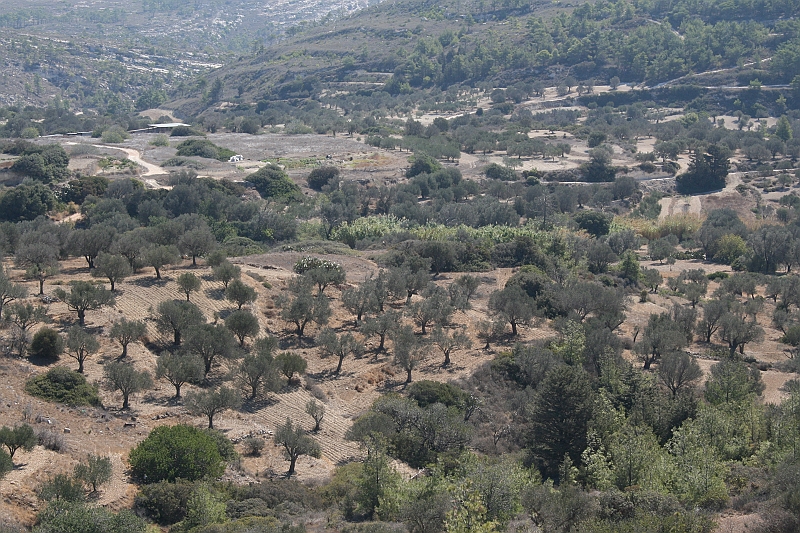 Rodos 2007 784